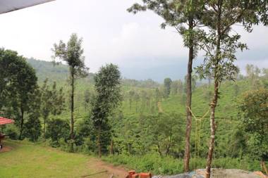 Green Garden Deluxe Room