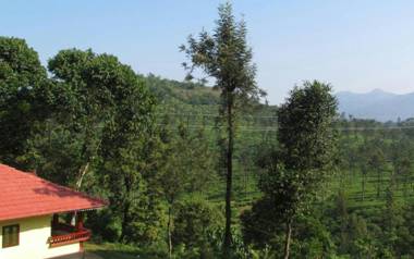 Green Garden Lotus Villa