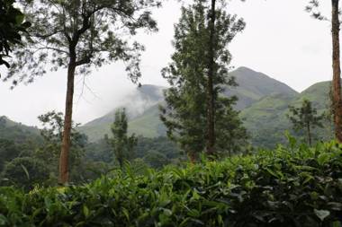 Green Garden Lotus Villa