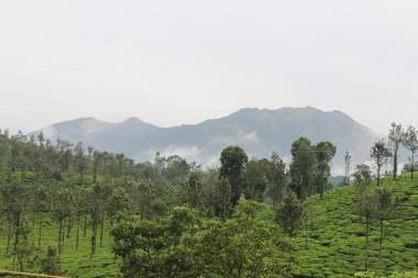 Green Garden Lotus Villa