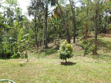 Spice Fields Cottage - Wayanad