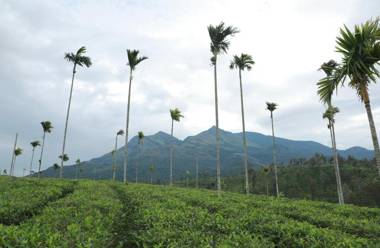 Aldora Holiday Homes