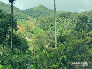 Croods Cottage Wayanad by Lexstays