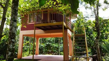 Wayanadgreenpark resort