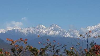 Yangsum Heritage Farm