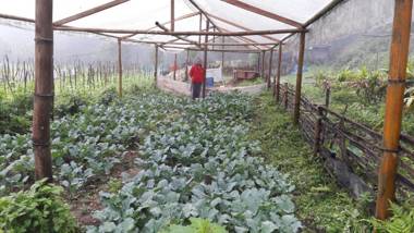 Yangsum Heritage Farm