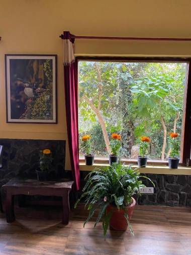 incredible birding camp