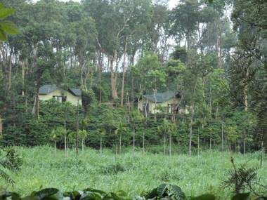 Machaan Wilderness Lodge