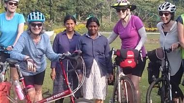 Grand Oak by Olive Stay