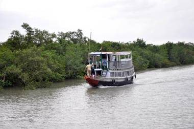 Royal Sundarban Wild Resort