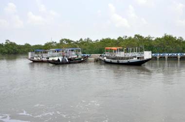 Royal Sundarban Wild Resort