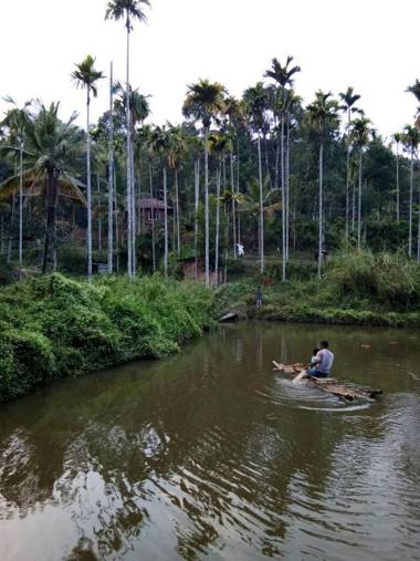 Kalidasa Tree House and Villa Wayanad