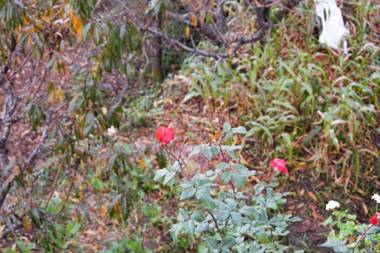 Villotale Satkhol Snow View