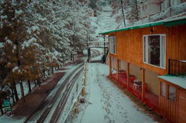 THEHIMALAYANLIVING WHISTLING PINES