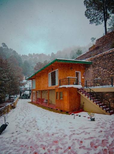 THEHIMALAYANLIVING WHISTLING PINES