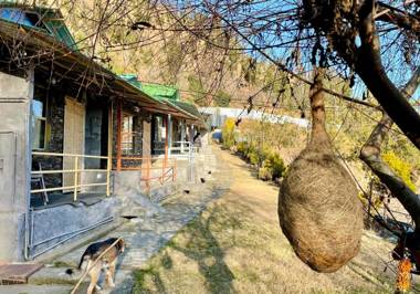 Family in the Hills by Nature's Glamping