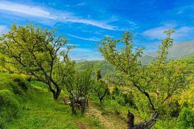 SaffronStays El Sueno