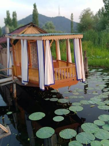 Houseboat young wild Rose