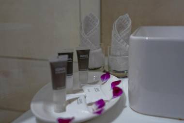 The Chinar Resort - Srinagar