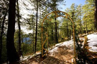 Zostel Homes Mashobra (Shimla)