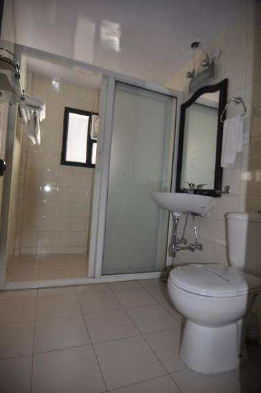 Tethys Himalaya Narkanda