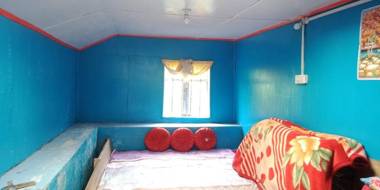 Vamoose Sunshine Tonglu