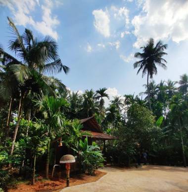 Areca County - Premium Homestay