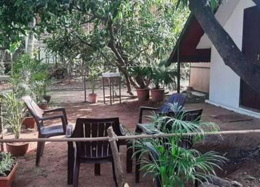 Green Environment Stay