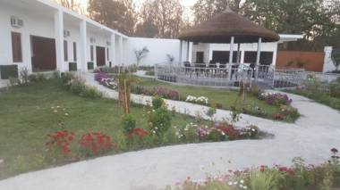 DTR Jungle Hideaways