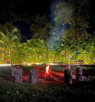 The Twig Homestay - Jungle Nest