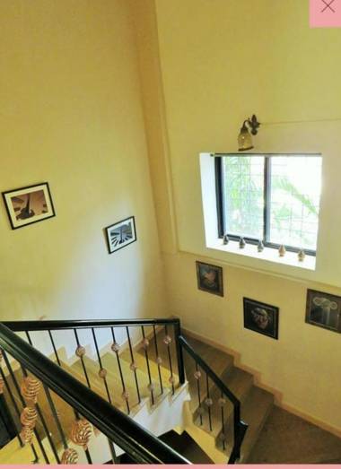 Vamoose Tranquil Dreams