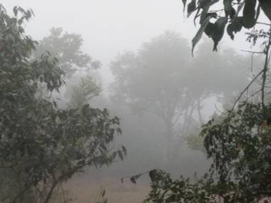 Homestay Woodnote Eco Resort