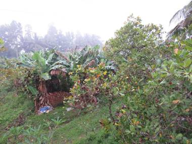 Sugamya Farm Guesthouse