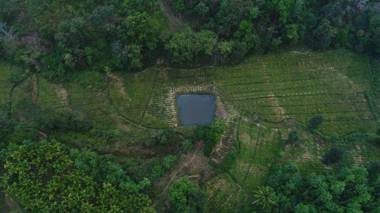 Kumbarahalli Greenstay