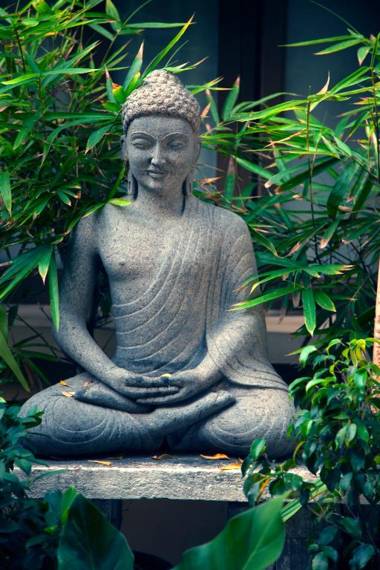 Hanu Reddy Residences Poes Garden