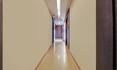 Treebo Trend Pine Tree Thousand Lights