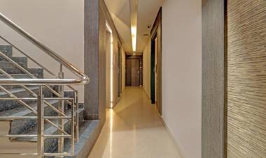 Treebo Trend Pine Tree Thousand Lights