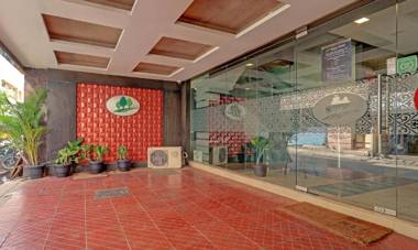 Treebo Trend Pine Tree Thousand Lights