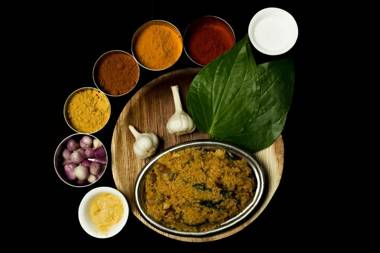 Shelter Beach Resort