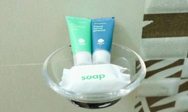 Treebo Trip Majestic Inn