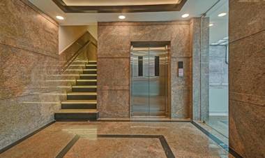 Treebo Trend Palm Tree