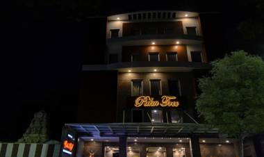 Treebo Trend Palm Tree