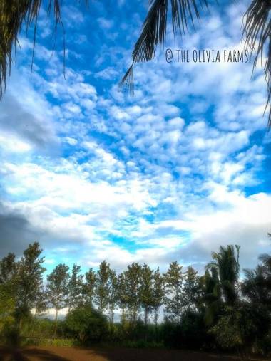 The Olivia Farms Farmstay Weekend villa 2 bedroom