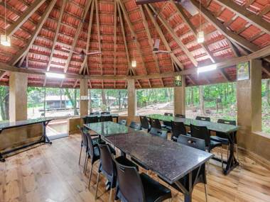 Anejhari Butterfly Camp-Jungle lodges
