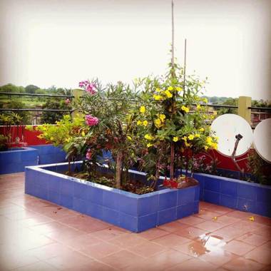 Eagle Nest Home Stay