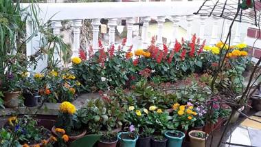 Vamoose Madhumita Homestay