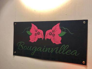 Bougainvillea
