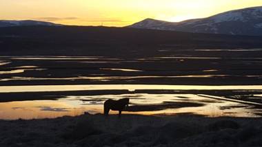 Hofsstadir - Country Hotel