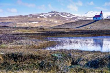 The Bookstore Family Apartment