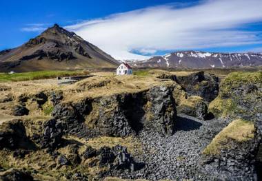 The Bookstore Family Apartment